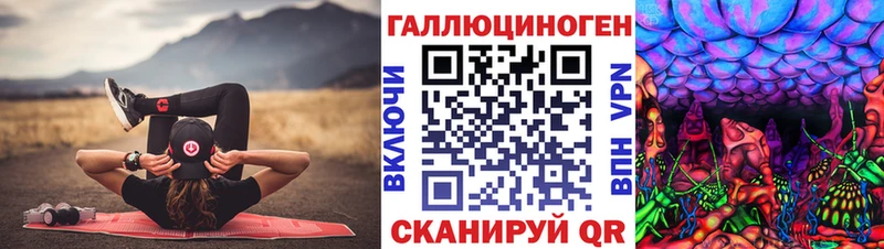 где продают   Короча  Псилоцибиновые грибы мухоморы 